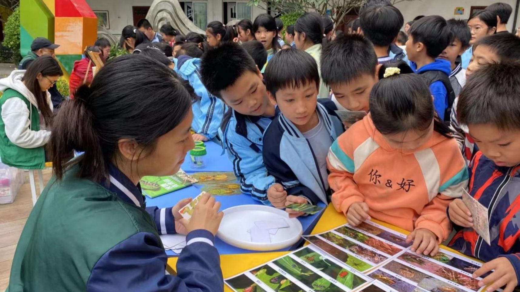 微信图片_20251111180508_329_169